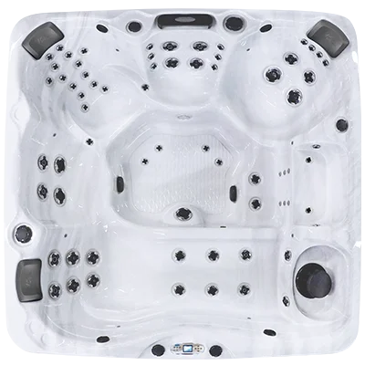 Avalon EC-867L hot tubs for sale in Moscow